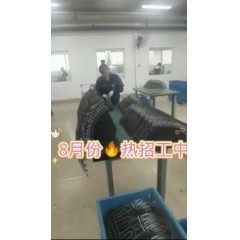 浙江江山電熱棒廠  長白班～兩班倒   男18-55，女18-50周歲