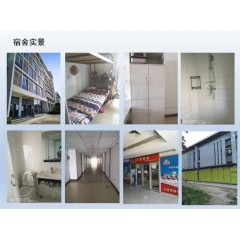 北京電子廠  招聘  女158以上，男165以上，年齡16-40歲
