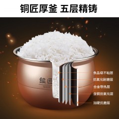 九陽(yáng)電壓力鍋6L智能電高壓鍋家用人雙膽球釜多功能方煲壓力鍋正品